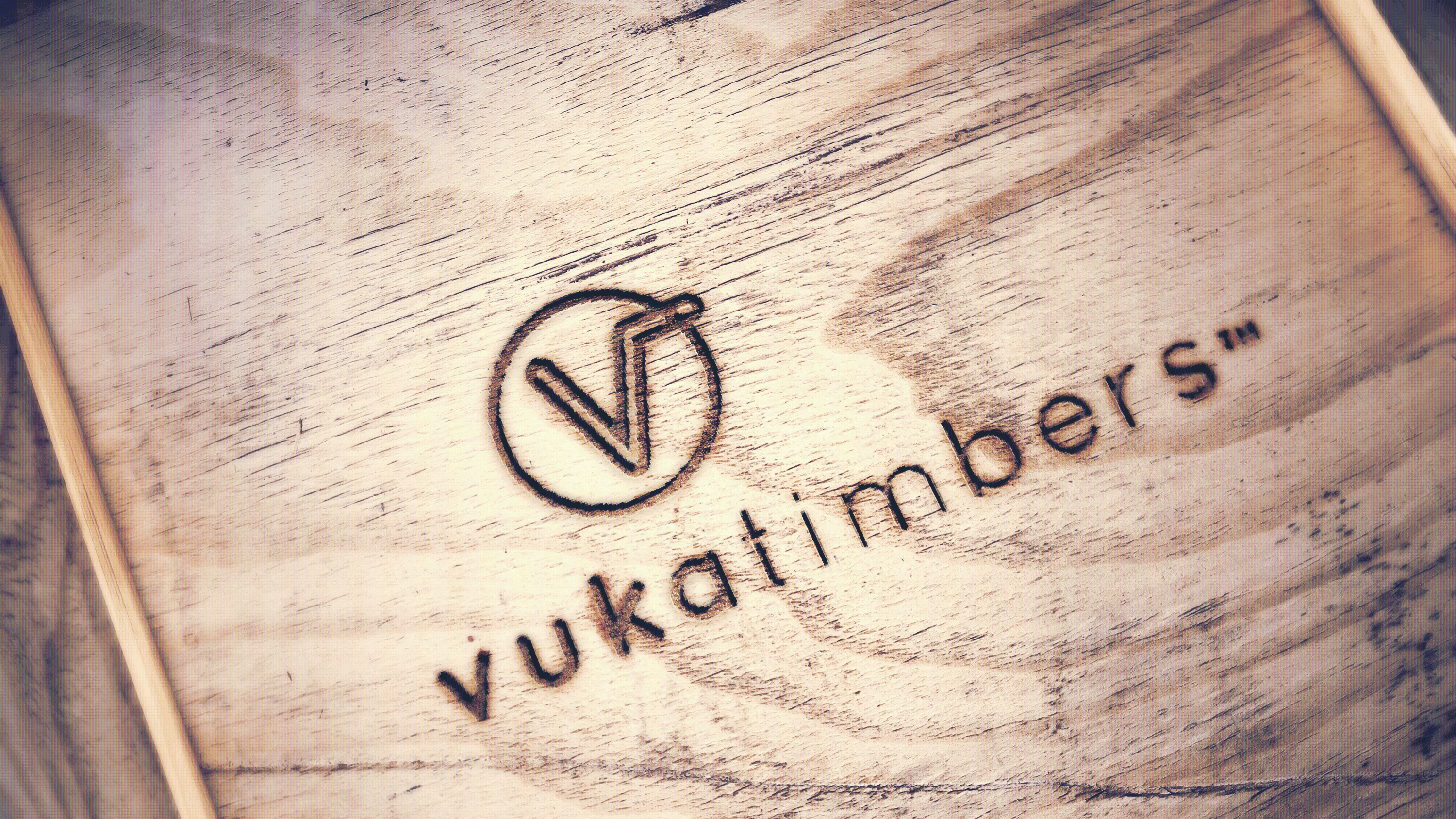 MSC Business College logo